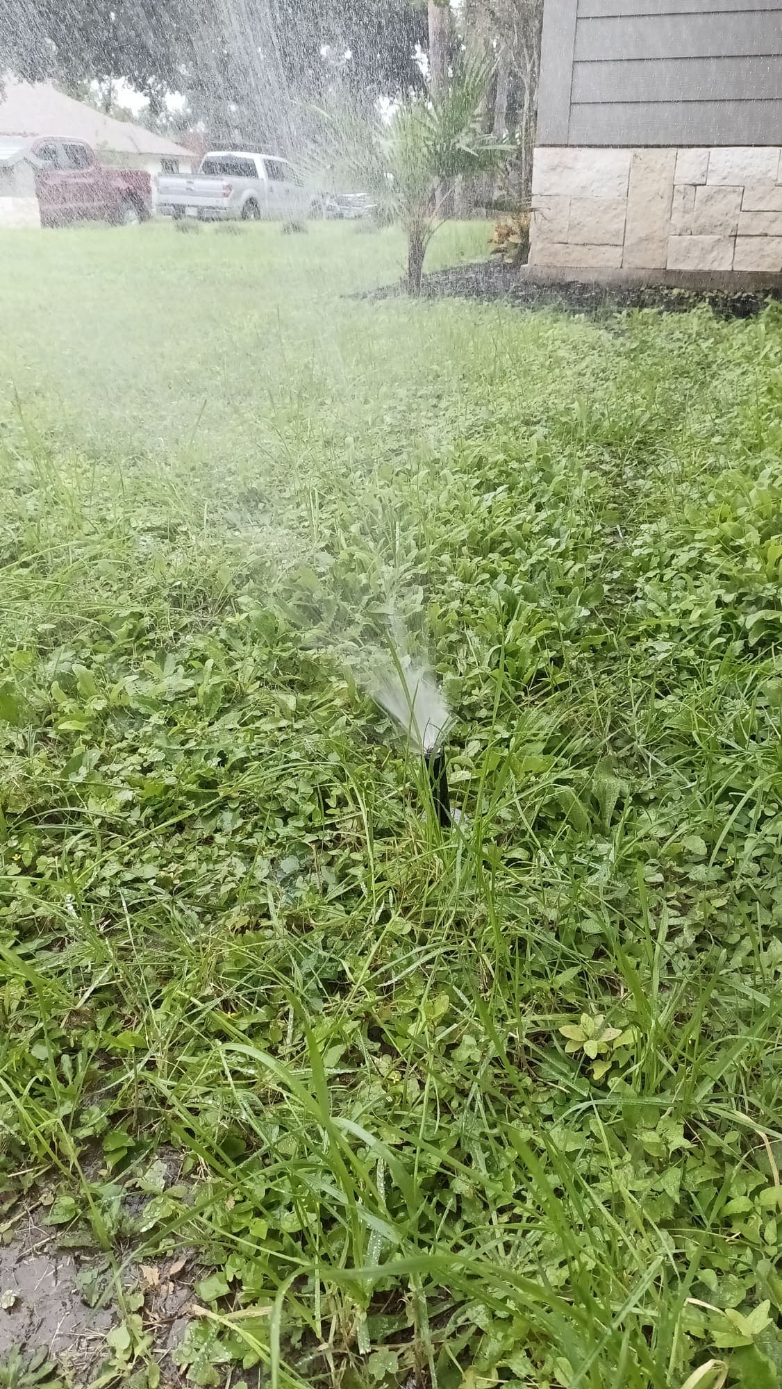 Sprinkler Inspection photo